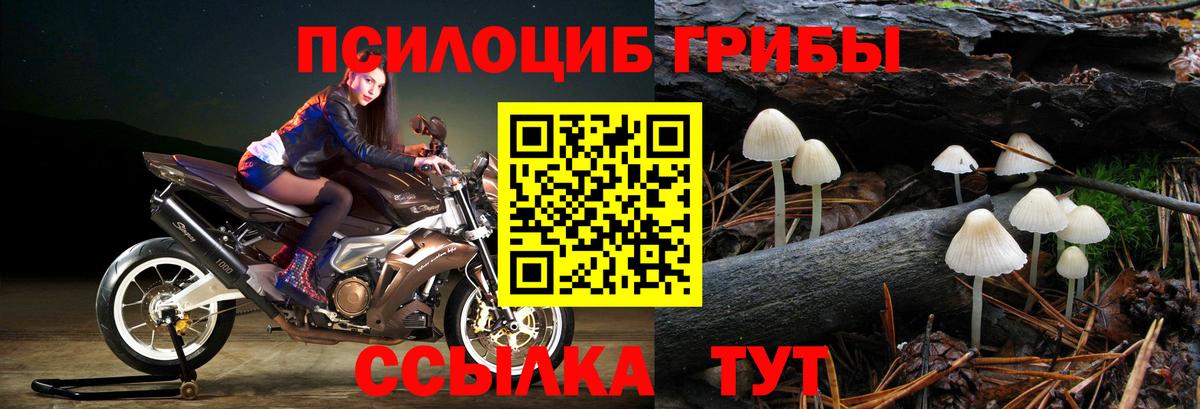 Галлюциногенные грибы Magic Shrooms Азнакаево
