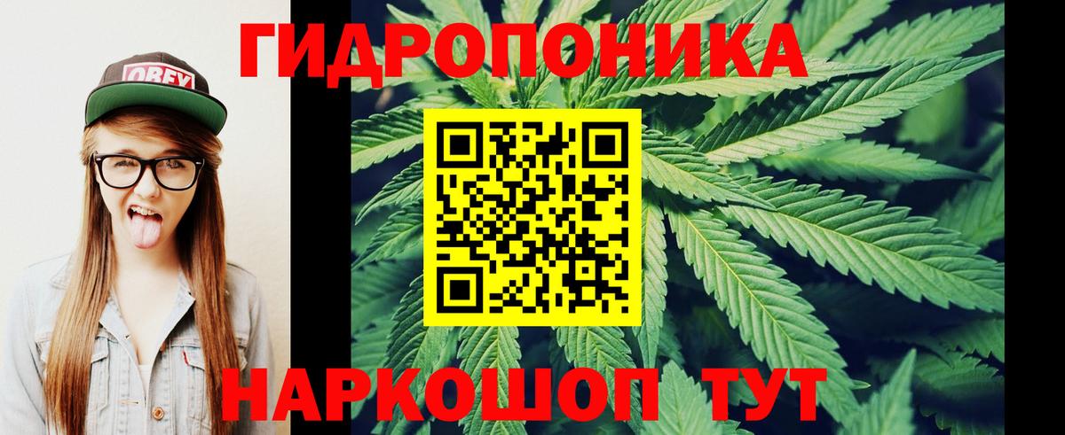 Азнакаево  Конопля конопля  Бошки Шишки тримм  Марихуана тримм  Канабис план  Вход с VPN 